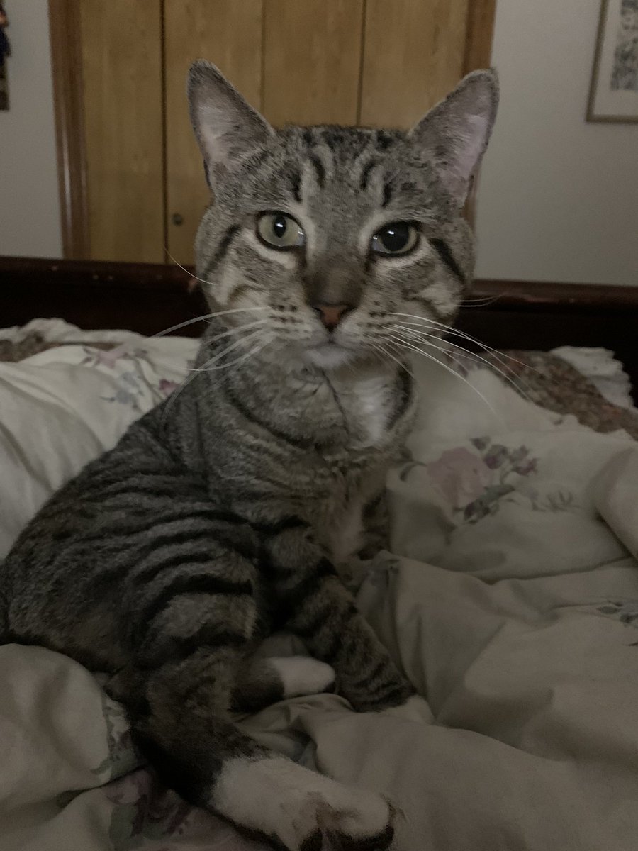 Going to sleep and Rudy is happy