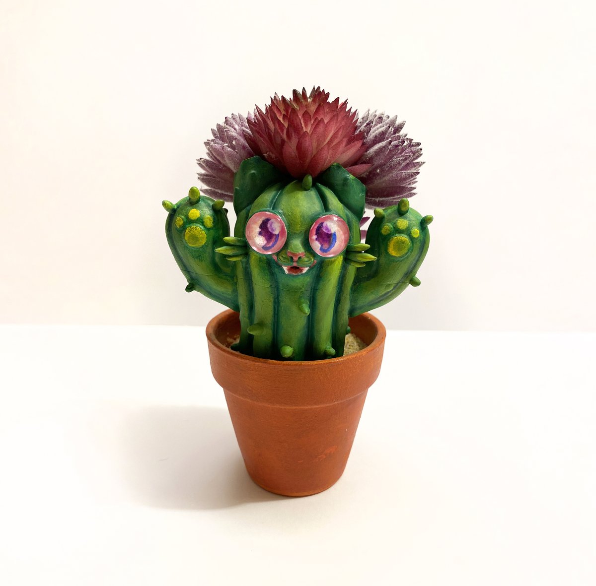 🚀RocketCatRescue🐈 tweet media