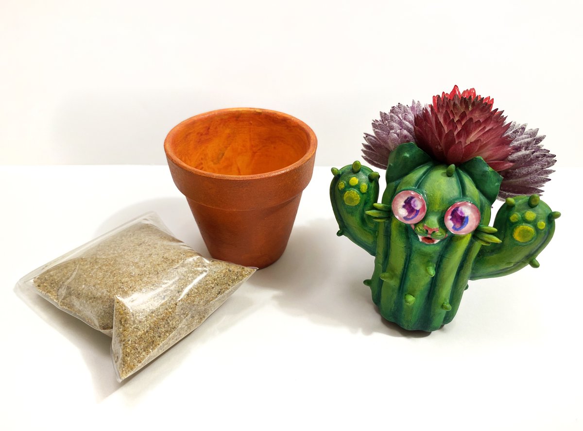 🚀RocketCatRescue🐈 tweet media