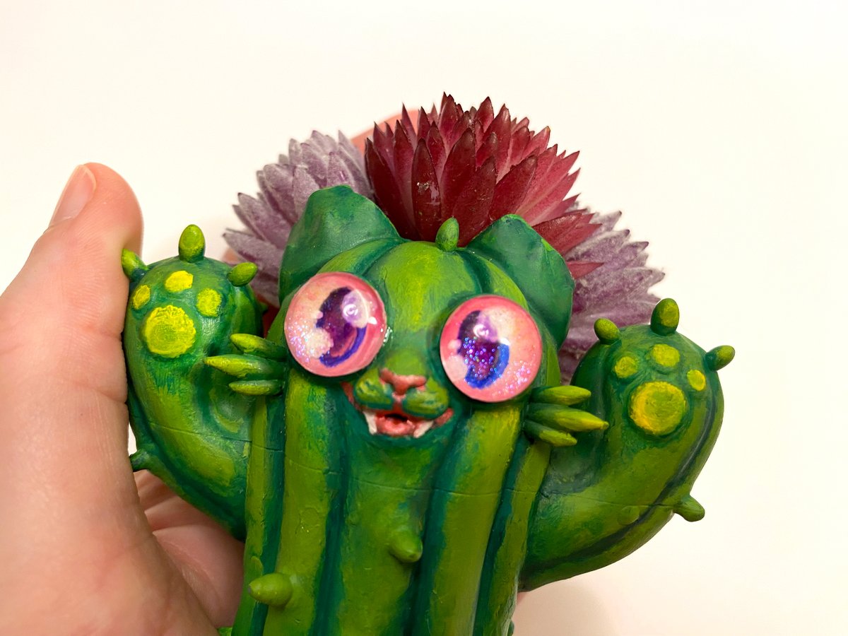 🚀RocketCatRescue🐈 tweet media