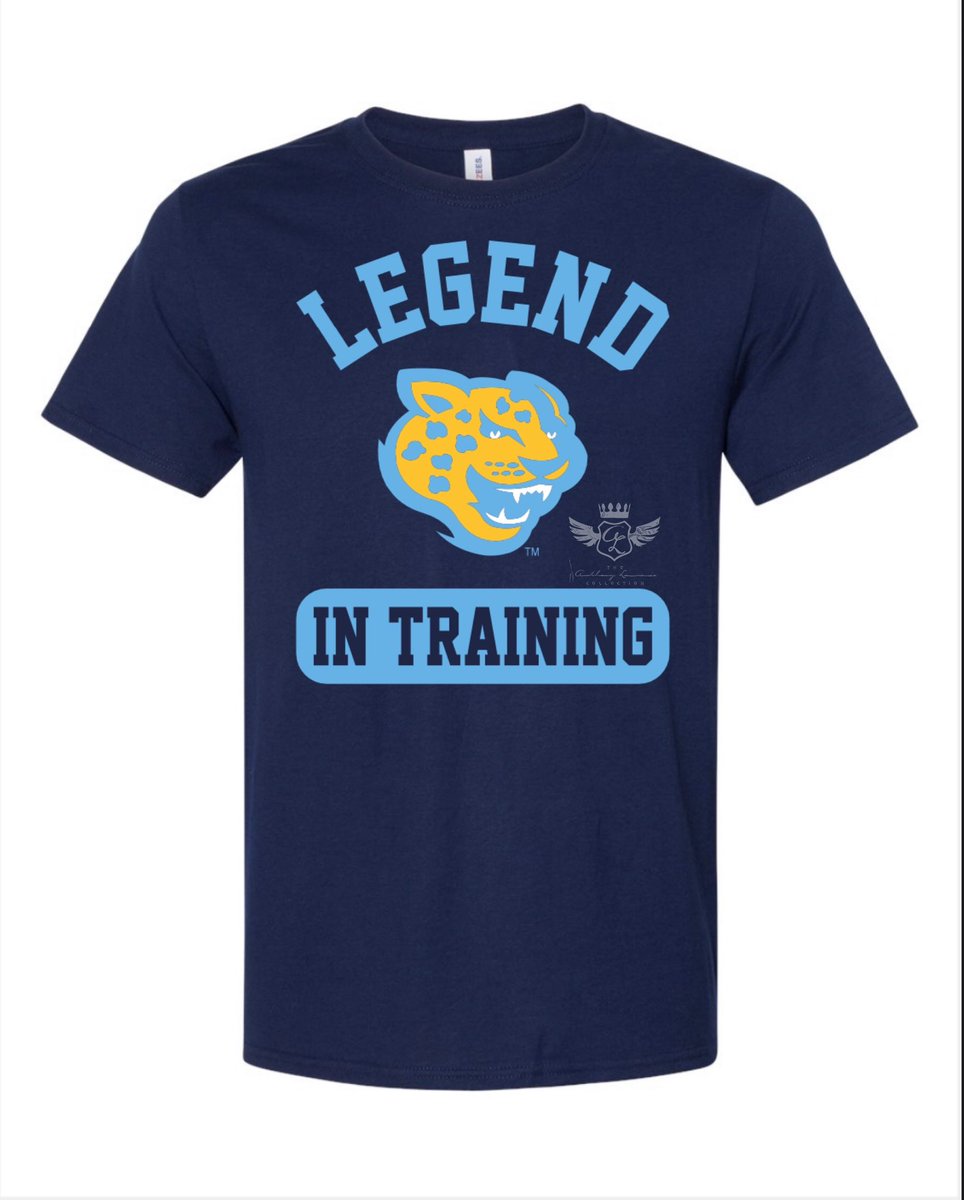 ALCollection's tweet photo. #ALCollectionSU boys T’s coming for the new season. Available in 2T and up. #WeAreSouthern #BeLegendary #ProwlAsOne https://t.co/1XV4kbaddL