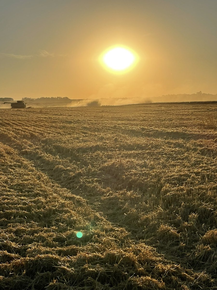 Sumpointe Acres Ltd tweet media