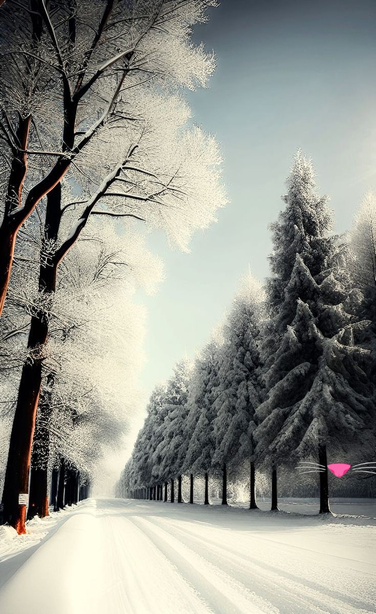 AmordAlma_'s tweet photo. Great day everyone 🫧❄️ https://t.co/igwk3wwhJi