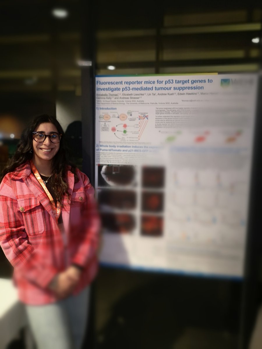 Loved presenting my poster at the @AusCellDeathSoc
JAM conference last night, titled, 'Fluorescent reporter mice for p53 target genes to investigate p53-mediated tumour suppression' 🔬🐀#celldeath #intravitalimaging #posterpresentation #wehi