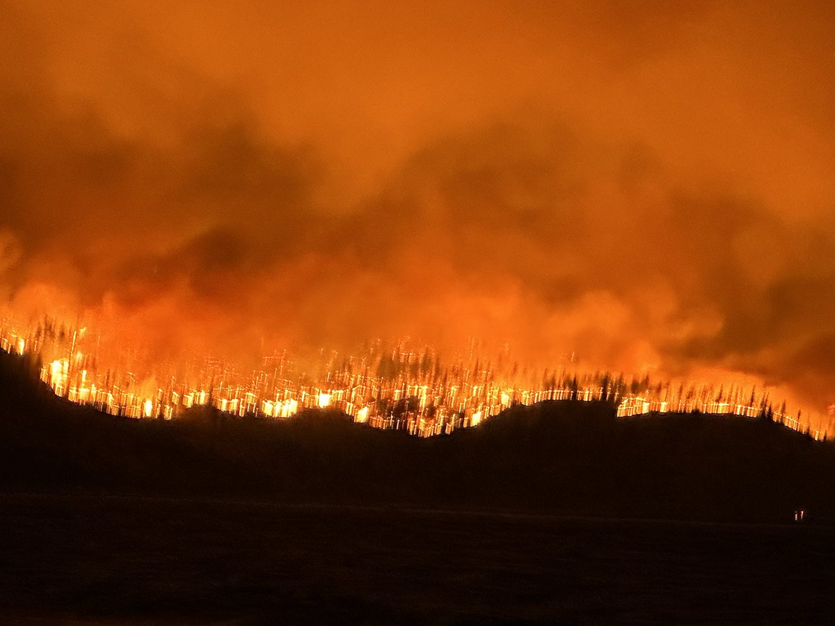 FROGGYJ 🇨🇦 tweet media