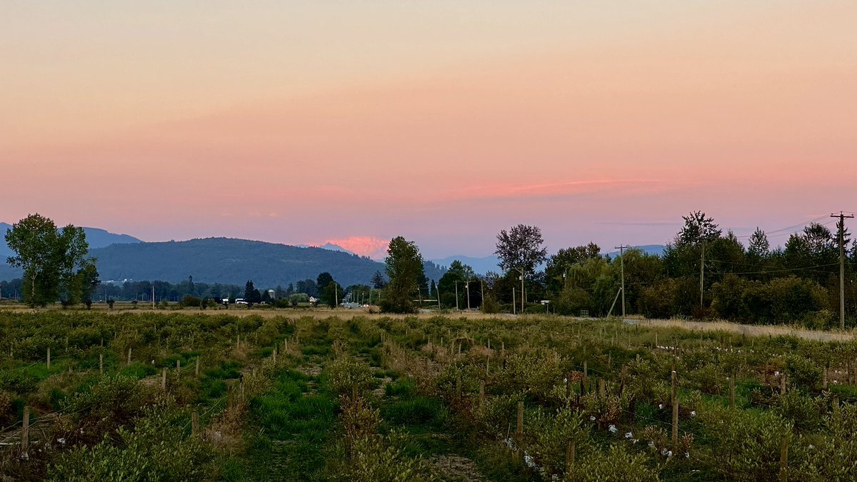 RyanVoutilainen's tweet image. A peak of the #pyrocumulus associated w/ the #KookipiCreek #wildfire to the W of #BostonBar which has #BChwy1 closed.
Thinking of all my fellow #BC’ers this eve living/waiting under the threat of evacuation as explosive/erratic #BCwildfire behaviour is seen across S BC!
#BCstorm