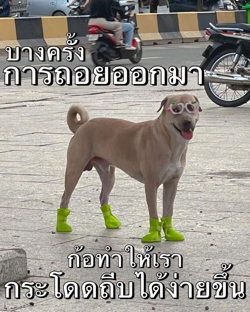 ไลฟ์โค้ชที่แท้จริง 5555555555555555555555