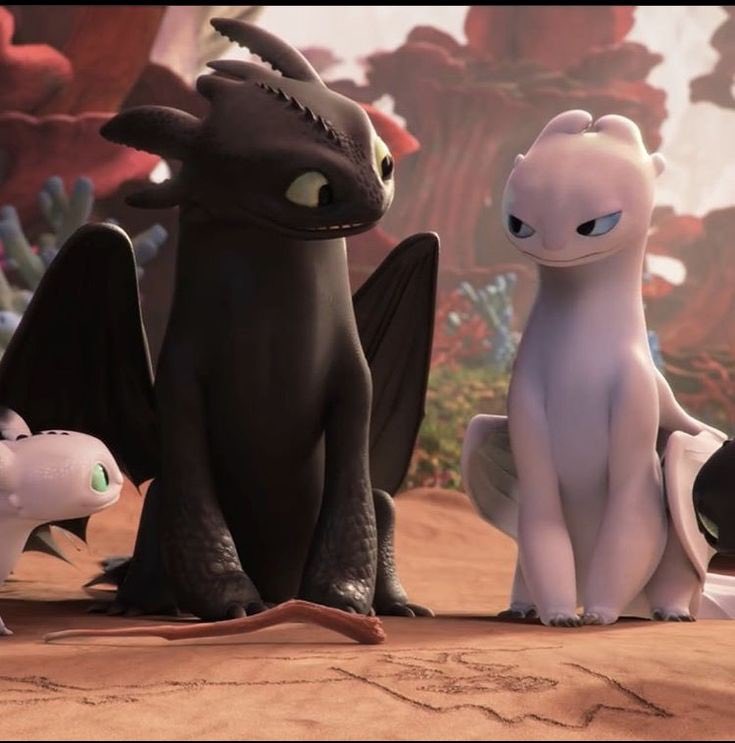 gongijeuism's tweet photo. do you think if you tell jayhoon that they are so toothless and light furry coded, sunghoon would go, “haha jay bungal ka raw” https://t.co/fpWOaPoMjB