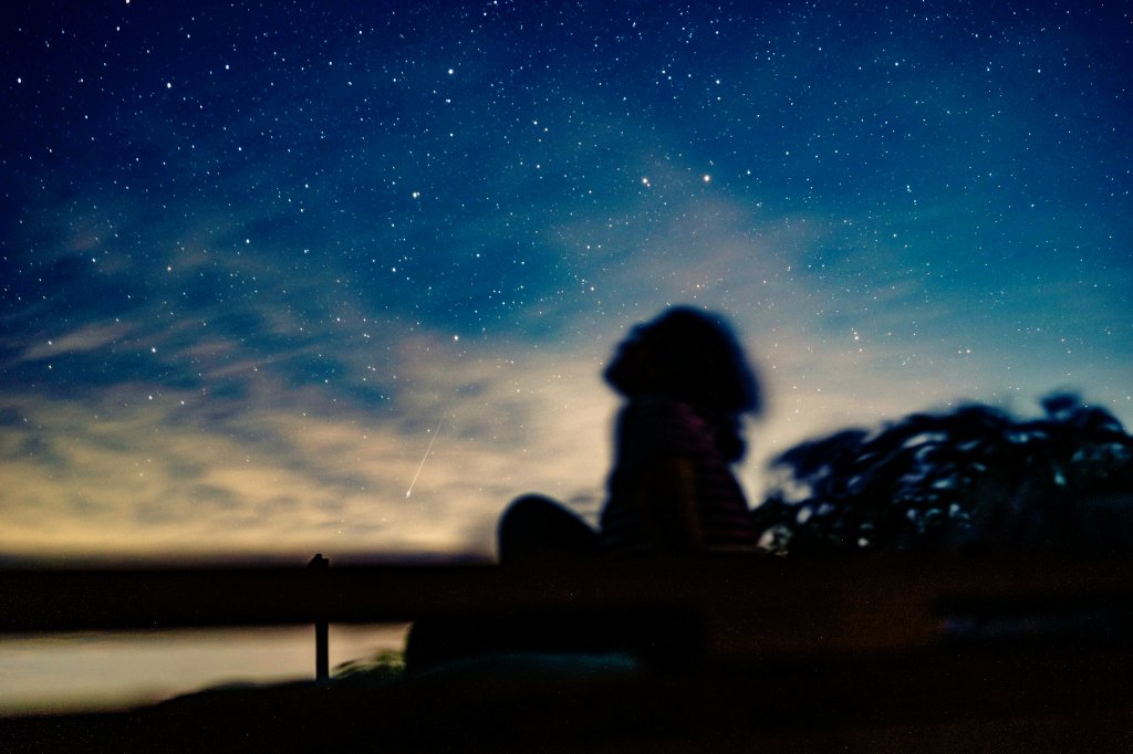 divyeshkr's tweet photo. Do you see the Perseid Meteor Shower? Astrophotography is genuinely fun. It's a must try activity. https://t.co/RdVA9mr9c6