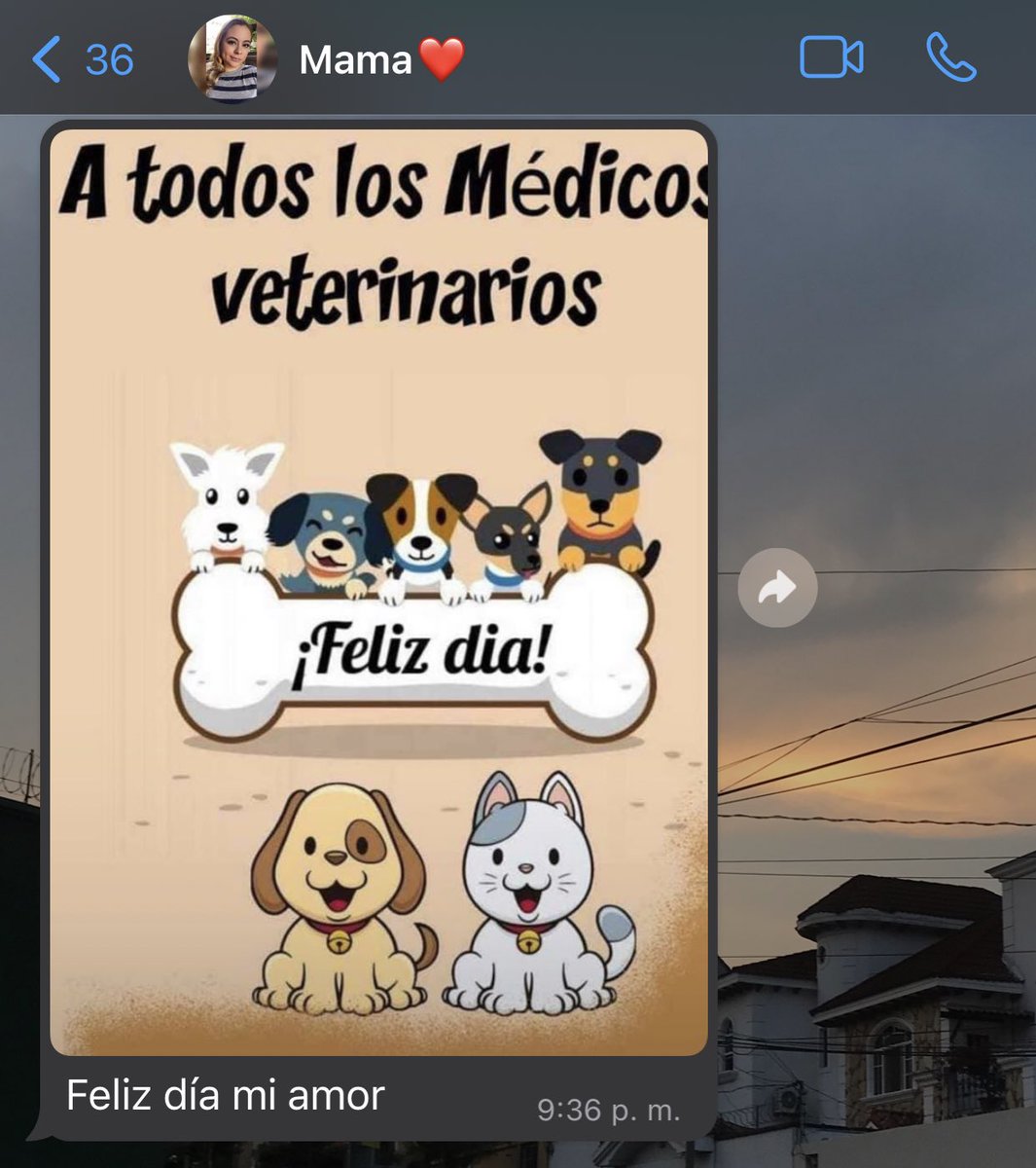 Y no se imagina lo feliz que me hizo con su mensaje ❤️‍🩹