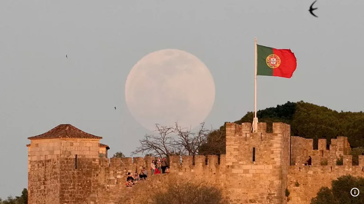 Congrats Portugal! The #greenrevolution is taking over! <a href="/euronews/">euronews</a> recently recognized the country as the #green country of the month for achieving #renewableenergy goals. 50% of the nation’s electricity coming from solar/wind power. #Portugal leads the way lnkd.in/eU7Nc4Gg
