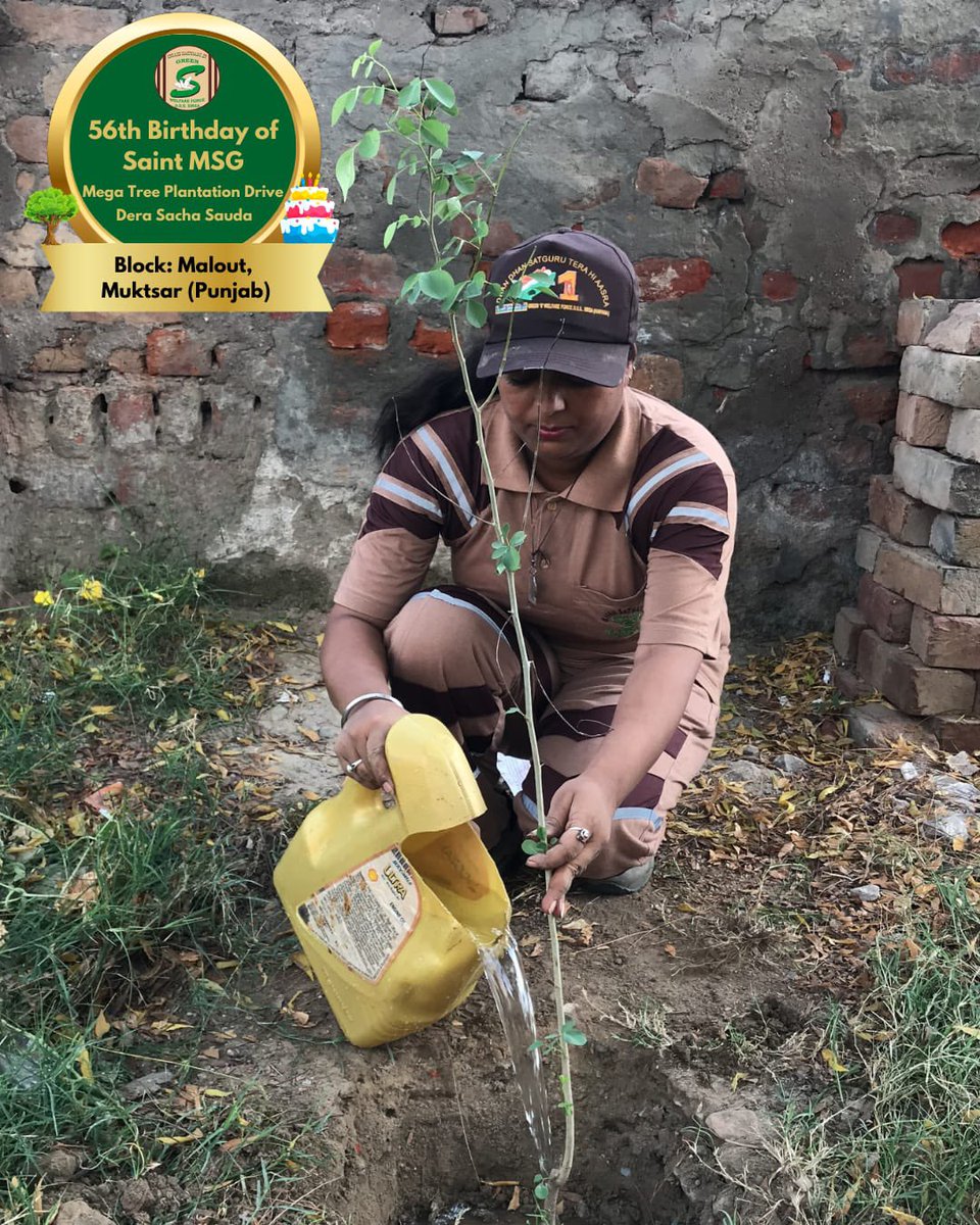 GreenSwelfares's tweet photo. Planting and taking care of a tree is an important contribution to the world!! Glimpses of volunteers celebrating ‘MSG Bhandara’ by planting trees!! Truly appreciable.

#56thBirthdayOfSaintMSG #56thBirthdayWithTreePlantation #15thAugust https://t.co/3UXMMgxxlT