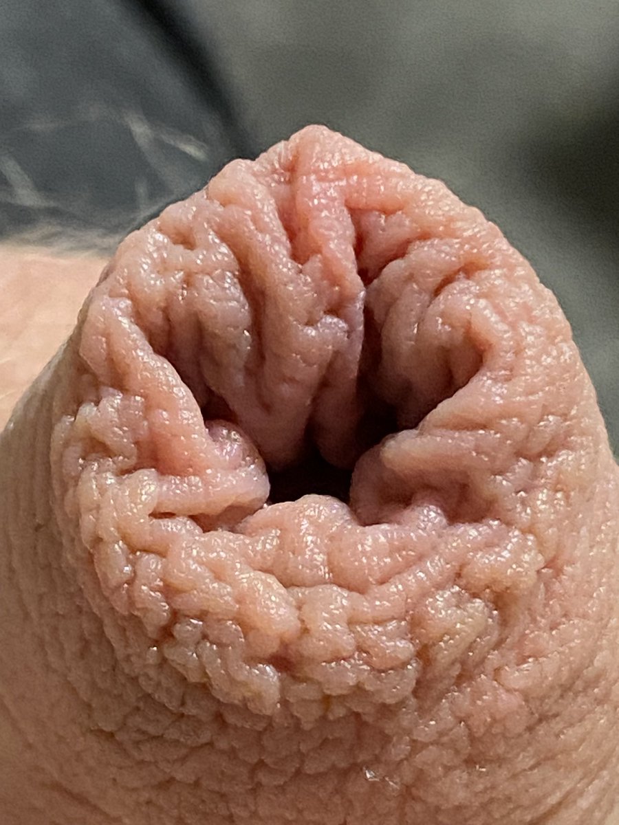 adl_ginger_alt tweet media