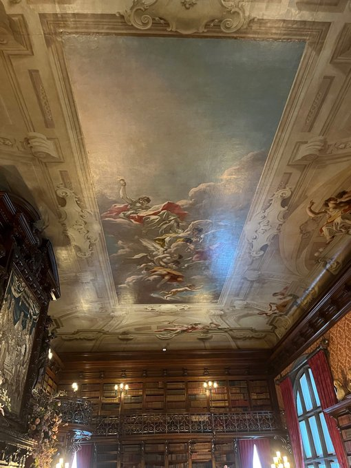 AmeliaWardfs's tweet photo. Ceiling in the Library at Biltmore. https://t.co/R4nF9riZI7