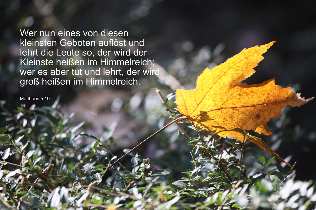 Gebote und Gesetze regeln den Rahmen, in dem wir uns orientieren können. Sie sind für den Menschen gemacht, nicht der Mensch für sie. Sagt Jesus.
Der Tag, er sei euch gesegnet. Guten Morgen miteinander!