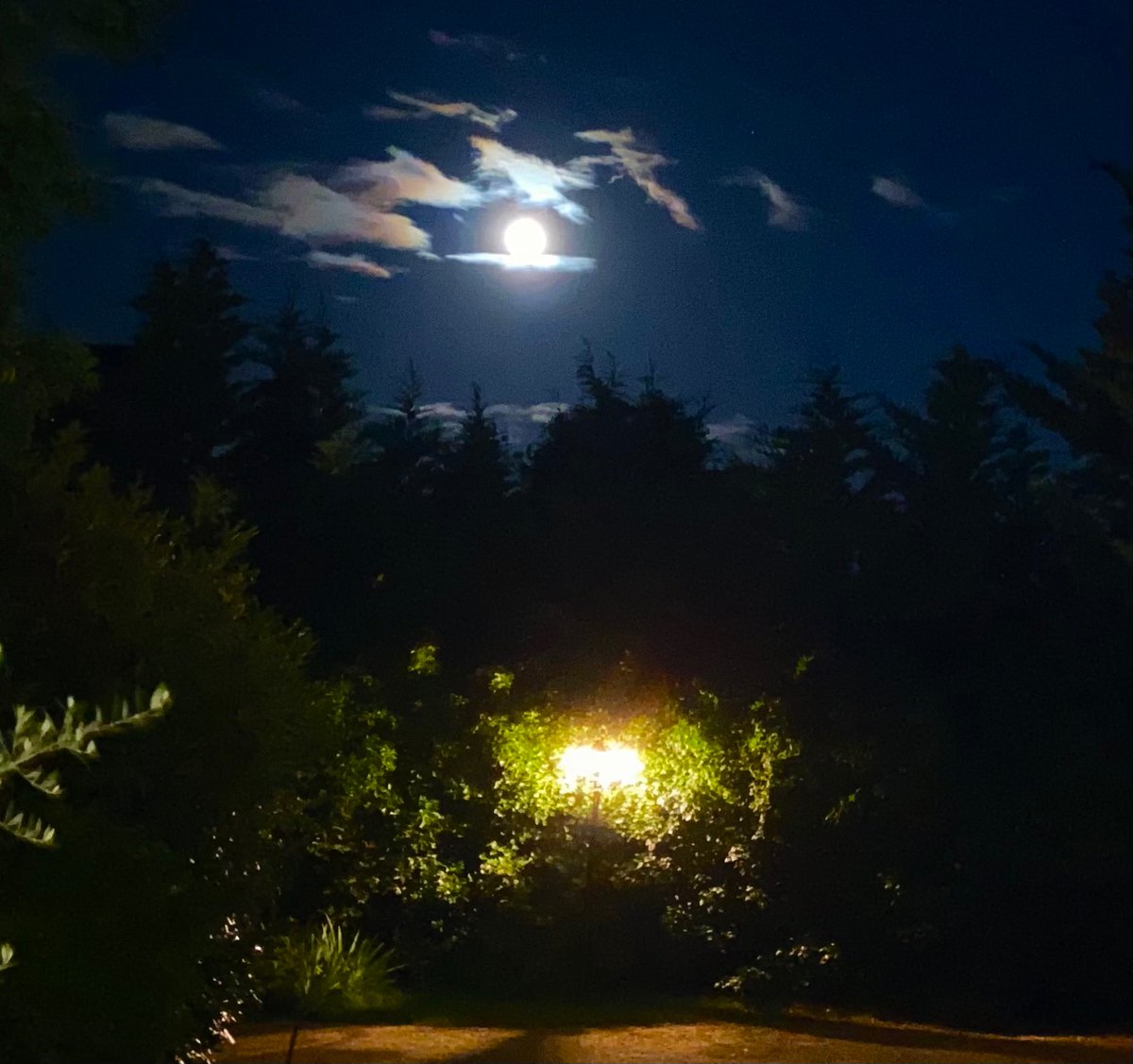 ErickDevaaay's tweet image. Last night I stared at the moon
There I saw the reflection 
Of your smile