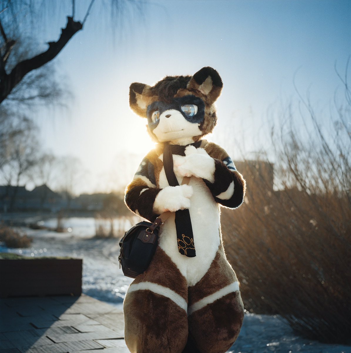 #FursuitFriday 
Hasselblad 503 cxi 
Portra 160
2023.2.4 Beijing