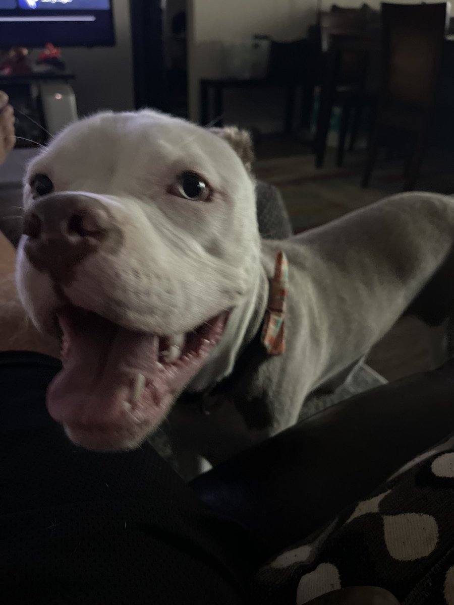 TigerStyle tweet media