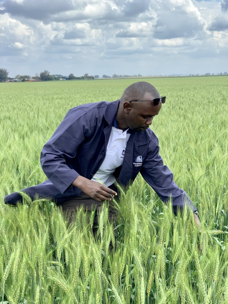 rodgers_kirwa's tweet image. If wealth would be measured by hardwork, farmers would be billionaires & millionaires.
If success would be measured on the resilience of the heart, farmers would be more appreciated.
A toast to all farmers out there, we celebrate & appreciate you.
#DevolutionConference2023…