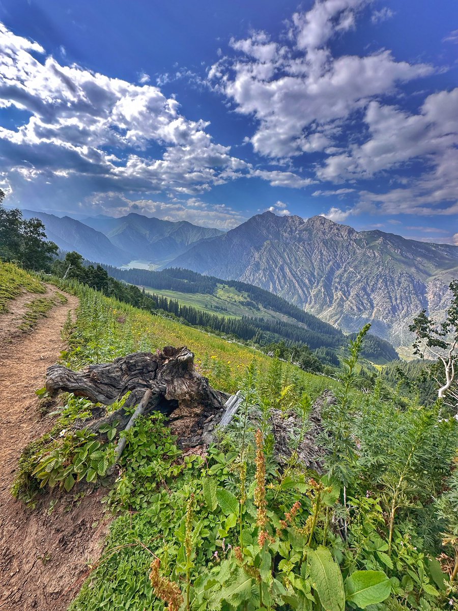 Photo dump from Gurez Valley Trek.

@solopassport 

#raksgurezvalleytrekdiaries #solopassport #gurezvalley #gurezvalleyinpics #gurezvalleykashmir #gurezvalleytourism #jammuandkashmir #jammuandkashmirtourism #incredibleindia #india #indiapictures #indiatravelgram #indiatravel