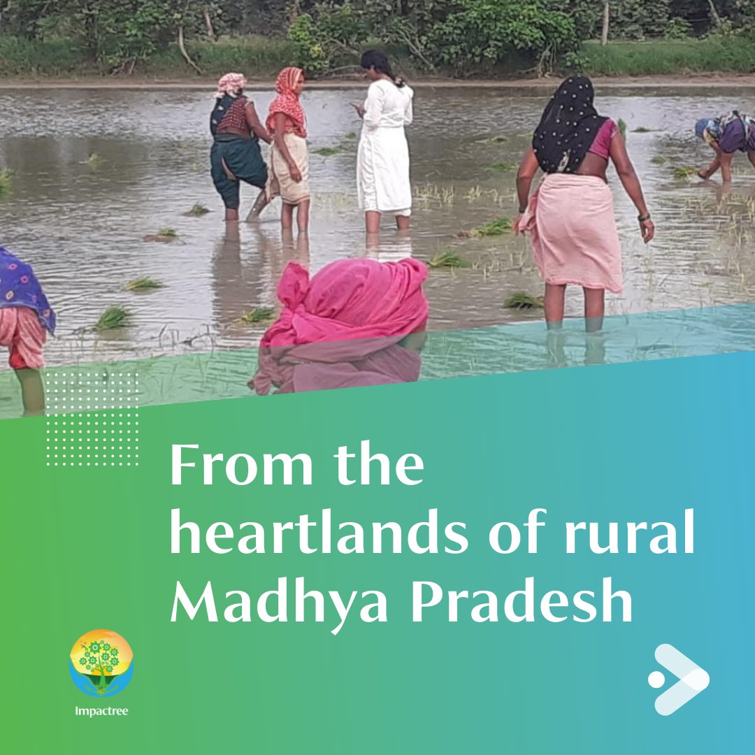 impactreeai's tweet photo. From rural Madhya Pradesh #farmers to urban Mumbai #classrooms, #PrabhaavAI leaves its mark everywhere. Our #innovative tech is reshaping #socialimpact measurement, driving #change where it counts. Ready to make an IMPACT? 
 Reach out: vivek@impactree.ai https://t.co/LMjW49Y2EJ