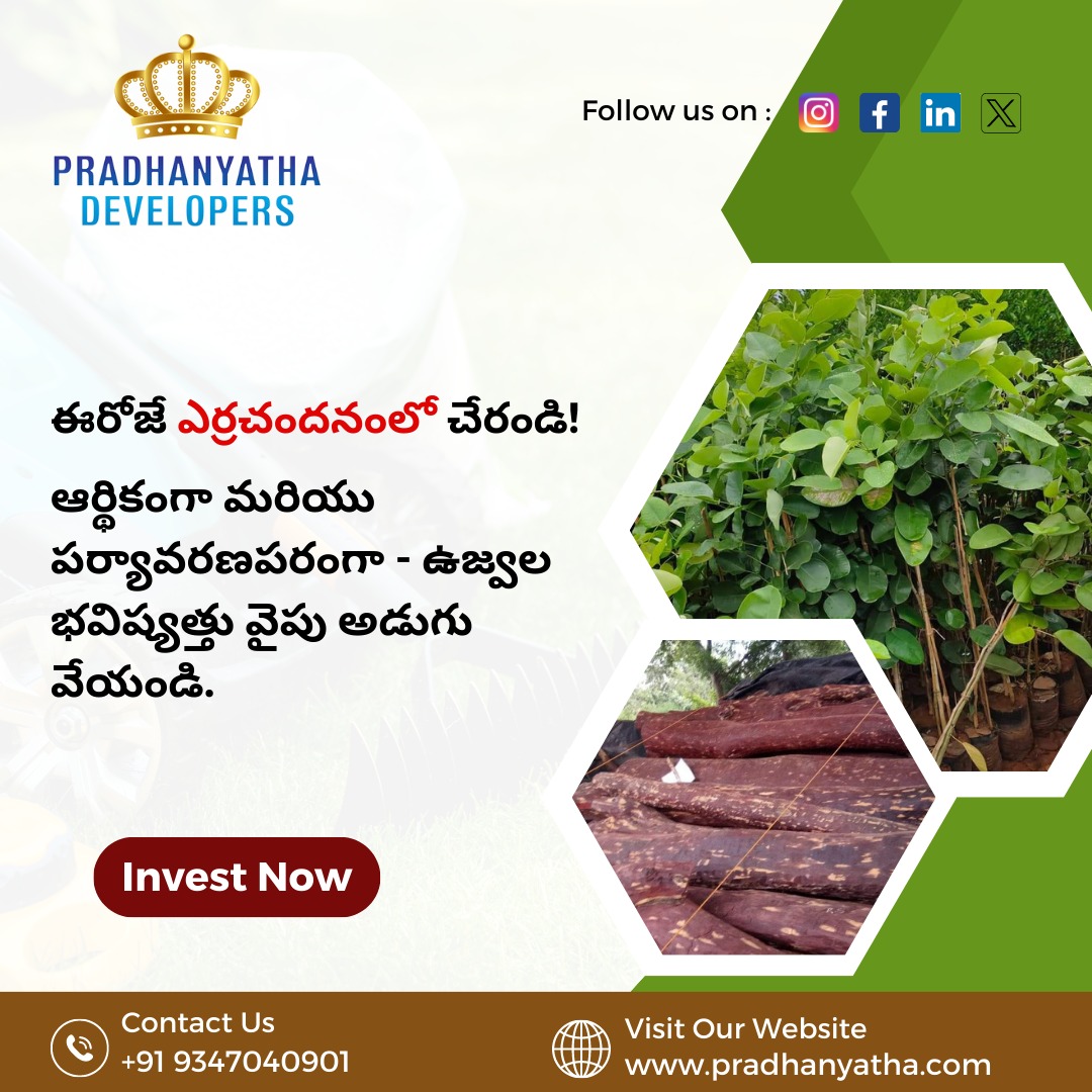 pradhanyathaD's tweet photo. ఈరోజే ఎర్రచందనంలో చేరండి! ఆర్థికంగా మరియు పర్యావరణపరంగా - ఉజ్వల భవిష్యత్తు వైపు అడుగు వేయండి.
.
.
For more details, contact us at +91 9347040901, 9182173267, or
Visit: https://t.co/6rMYkedLCb
.
.
#redsandalwood #sandalwood #sandalwoodfarminginindia #redsandalwoodfarminginindia https://t.co/IhlgtaxISF
