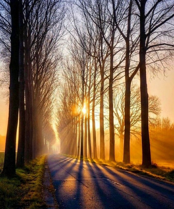 clicks1222's tweet photo. Photographers  show me your  stunning sunset / sunrise🌄 shots

Re-Tweeting !!! The best ones I like .
#photography 
#photooftheday 
#sunsetphotography
#sunsetsunrise https://t.co/kj7y6uspgB