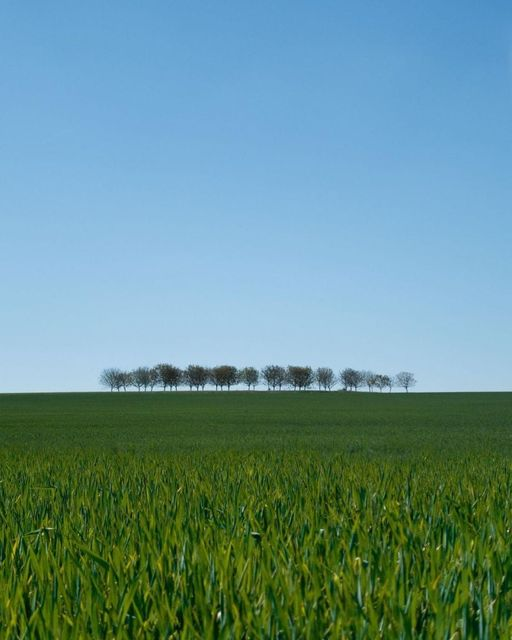 guardo l’orizzonte
è ora, penso
e saluto un luogo
che è tutti i luoghi
📷 Laetitia Modine