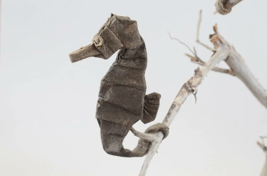 Seahorse, designed and folded by Kei Watanabe (source: buff.ly/3qsQATU) #origami #seahorse