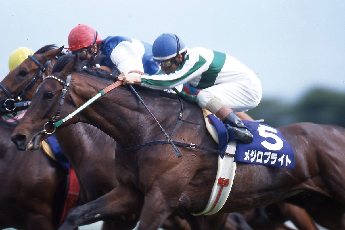 96年の今日8月31日、 #メジロブライト が函館競馬場でデビュー戦で勝利