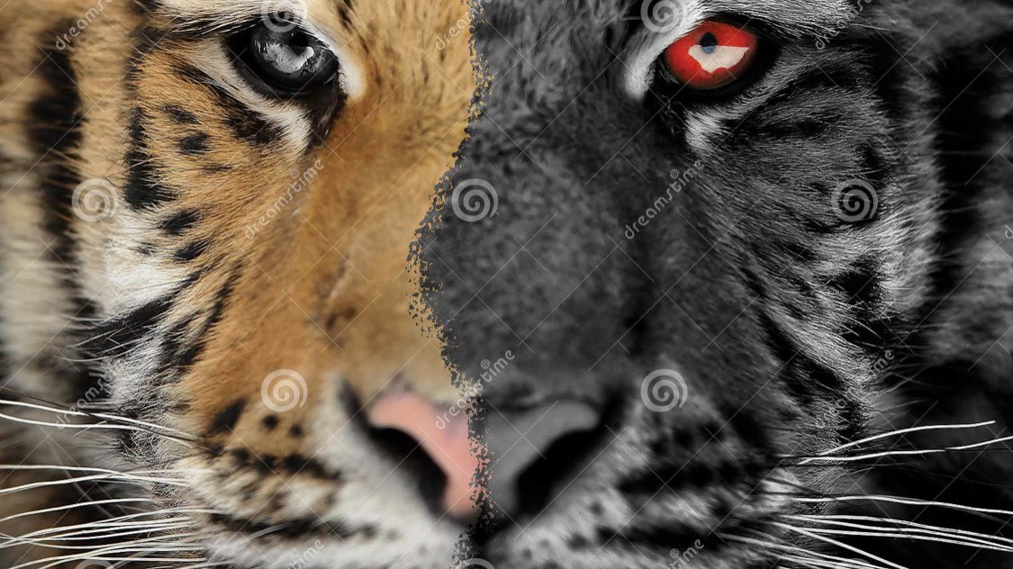 HEY TIGERS!!!! Tonight we eat! <a href="/Chr1stianHarris/">Christian Harris</a> <a href="/23clax/">Bryson claxton</a> <a href="/bam_taylor4/">BamTaylor4-CUC</a> <a href="/BaronTaylor_/">Baron Taylor</a> <a href="/kyle29995129/">Kyle Anthony Gurganious</a> <a href="/Adonbaker10/">Adon Baker</a> <a href="/zayden__maxwell/">Zayden Maxwell</a> <a href="/Ricky_Cole_6/">Ricky Cole</a> <a href="/higgs_rj77/">Rj Higgs🃏</a> <a href="/josiah_sharma/">Josiah Sharma ( Suga 🐻 ) 🇫🇯</a> <a href="/Bammm_1k/">Isaac Estacio</a> <a href="/Lono_Chouteau/">Lono</a> <a href="/kirkpatrickdk/">Dannykirkpatrick</a> <a href="/Aziel_rios_20/">Aziel Rios ®</a>