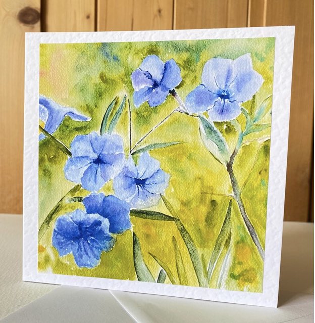 Morning #EarlyBiz here’s a pretty card for someone special the large size really gives it impact 7 x 5 inches £4.50 made to order. Petunias are zingy right now etsy.com/uk/listing/127…