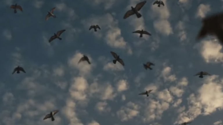 been21since17's tweet image. #SPINNIN OUT NOW !!!&amp;lt;33🪐🌎