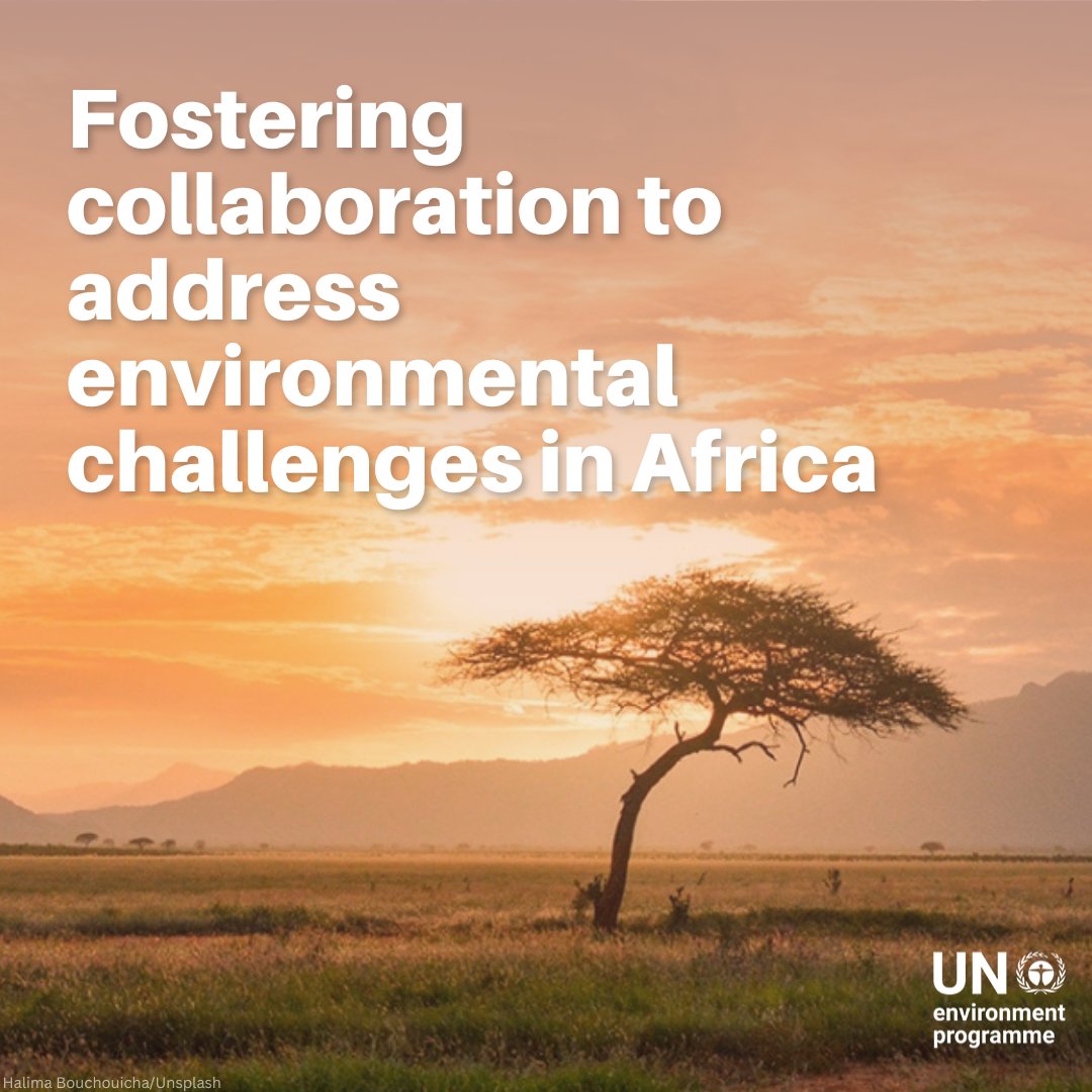 UNEP's tweet photo. “It is a great injustice that Africa, which has contributed the least to climate change, is poised to suffer the most.” 

@UN Assistant Secretary-General @mremae calls for greater global support in tackling the triple planetary crisis at #AMCEN.

https://t.co/gi9x1MP7GL https://t.co/ieYOIipBnY