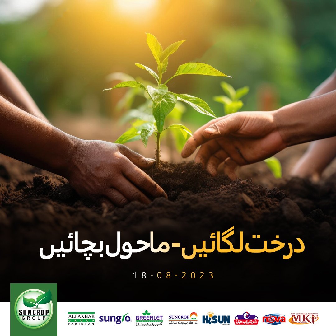 suncrop_group's tweet photo. درخت لگائیں - ماحول بچائیں 🇵🇰
#nationaltreeplantingday #TreePlantation #plants #18augusttreeplantingday #suncropgroup https://t.co/j4pVhxZZSB