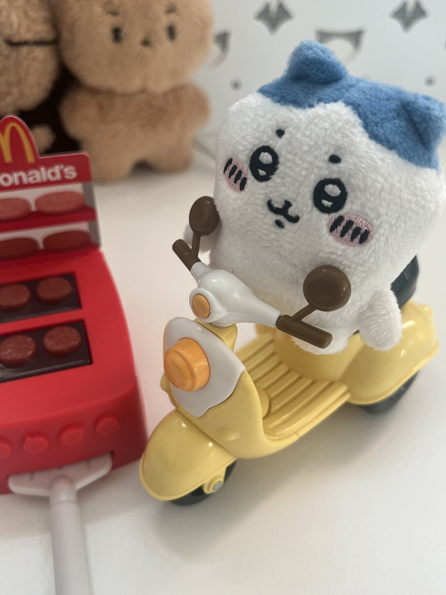 달곰이 뚱쯍해요