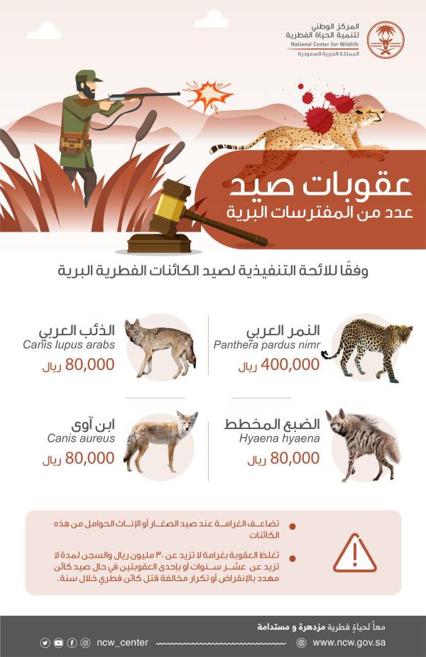 KhalidALkhalf1's tweet photo. @em4g1 80٫000 ريال غرامة صيد الضبع يجب الإبلاغ عن أي ممارسات صيد لهذه المفترسات لإنها تخل بالتوازن البيئي غير ا��ها مهددة بخطر الانقراض https://t.co/dtL4J5ZL9E