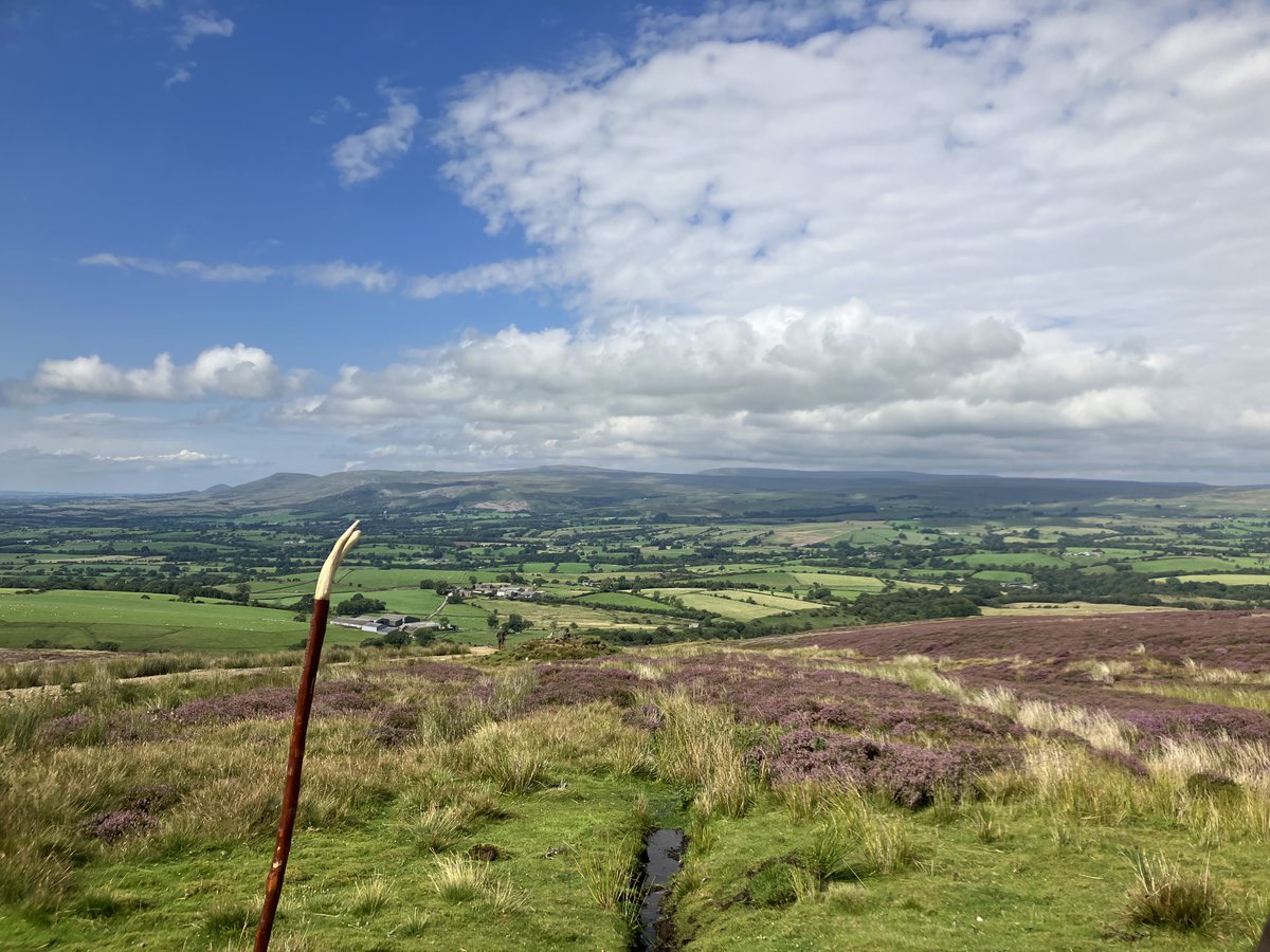I spent a lovely day on the moor yesterday just admiring the view, Don't think I have seen so many raptors in one place, hen harrier's, kestrels, short-eared owls and buzzards, <a href="/BASCNorth/">BASC North</a> <a href="/NationalGamekee/">National Gamekeepers</a> <a href="/Natures_Voice/">RSPB</a> <a href="/_Duncan_Thomas/">DuncanTweedsThomas</a>