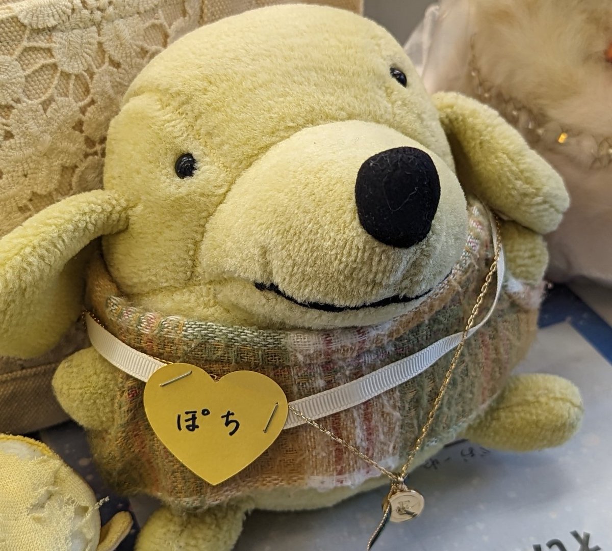 ぽち (@pochi_084_084) / Posts and Replies / X