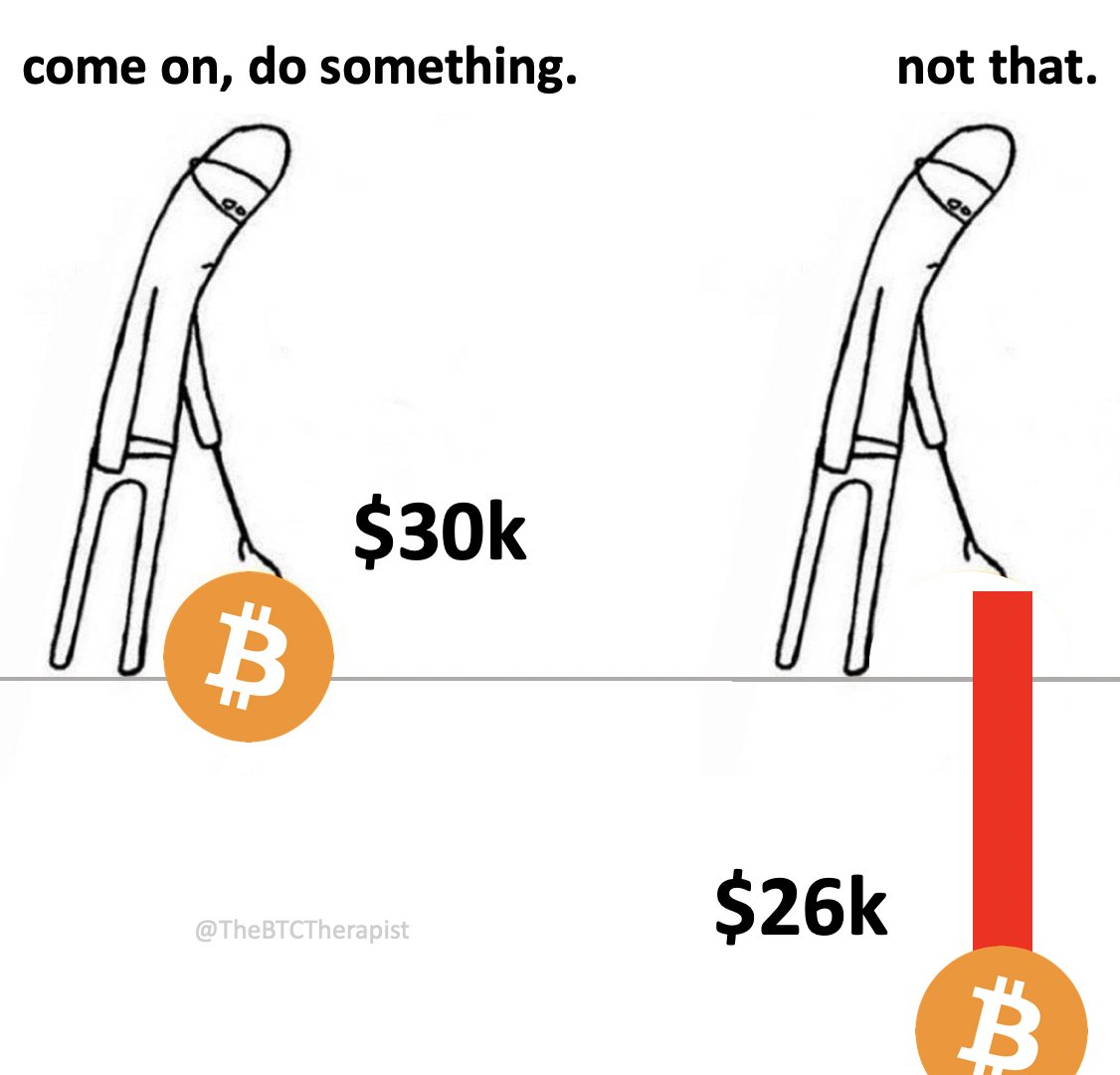 The ₿itcoin Therapist tweet media