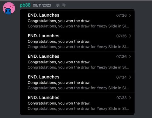 REAIO + a sufficient number of accounts = Yeezy Slide 🎉