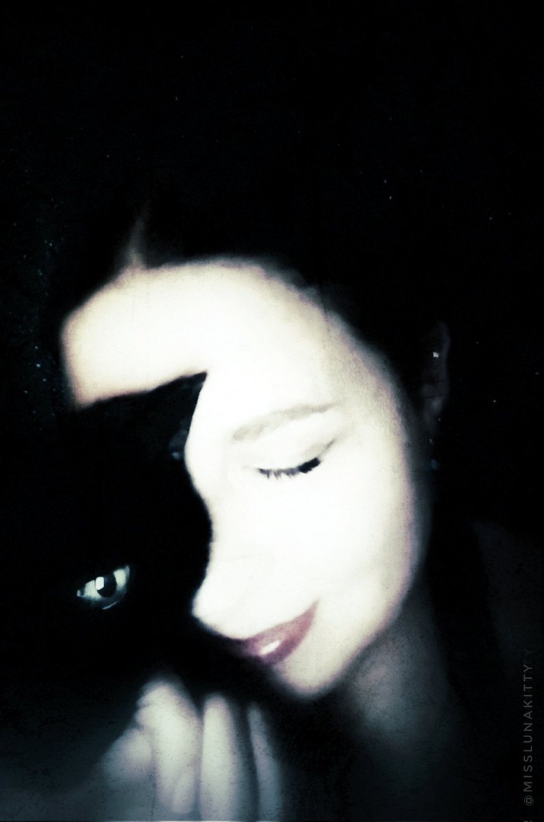 MissLunakitty's tweet photo. Black Cat Appreciation Day:
In memory of my soul mate kitty, Angel (like the vampire--dark and broody with fangs ๐ฆ). He helped me get through some of the darkest times of my life.
I still miss him every single day. ๐ฅฒ๐ค๐พโจ
#BlackCatAppreciationDay #BlackCats #HousePanthers https://t.co/UrrQtA6tOi