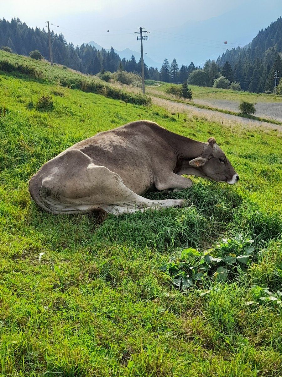 Ci si riposa