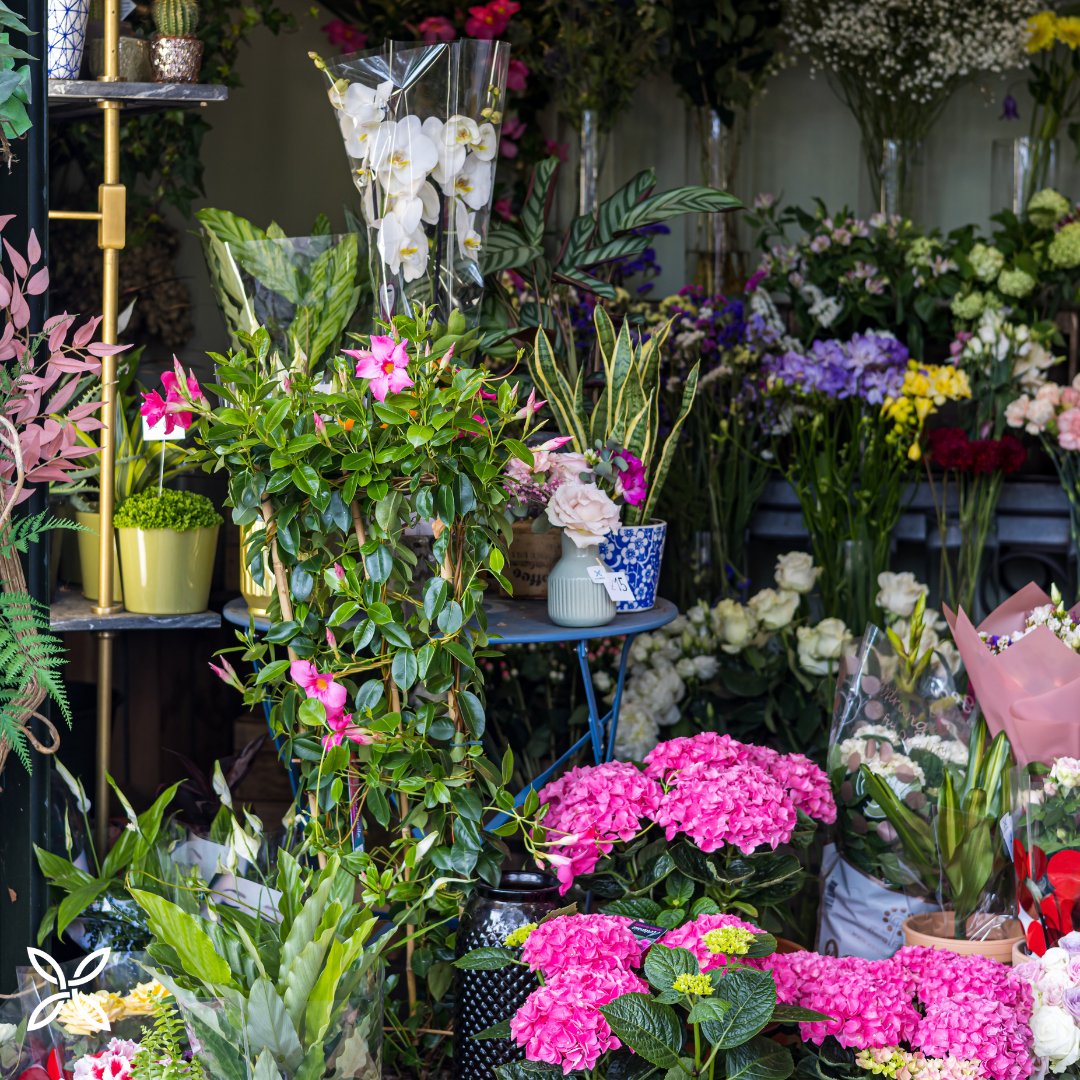 Strolling through Regents Park this weekend? 💐 Make sure to pop by and say hi! Our store is locate directly opposite Great Portland Street underground station.