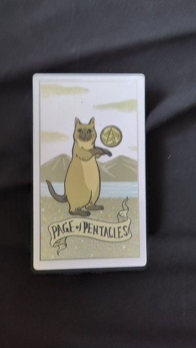 18 серпня твоя #картадня у #таро це - паж пентаклів! Новий період ,який потребує нових знань. Якщо тобі<a href="/tag/%D0%BA%D0%B0%D1%80%D1%82%D0%B0%D0%B4%D0%BD%D1%8F"class="tags">#картадня</a><a href="/tag/%D1%82%D0%B0%D1%80%D0%BE"class="tags">#таро</a>