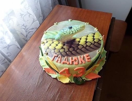 FlegerCook's tweet image. Муж поздравил 😂