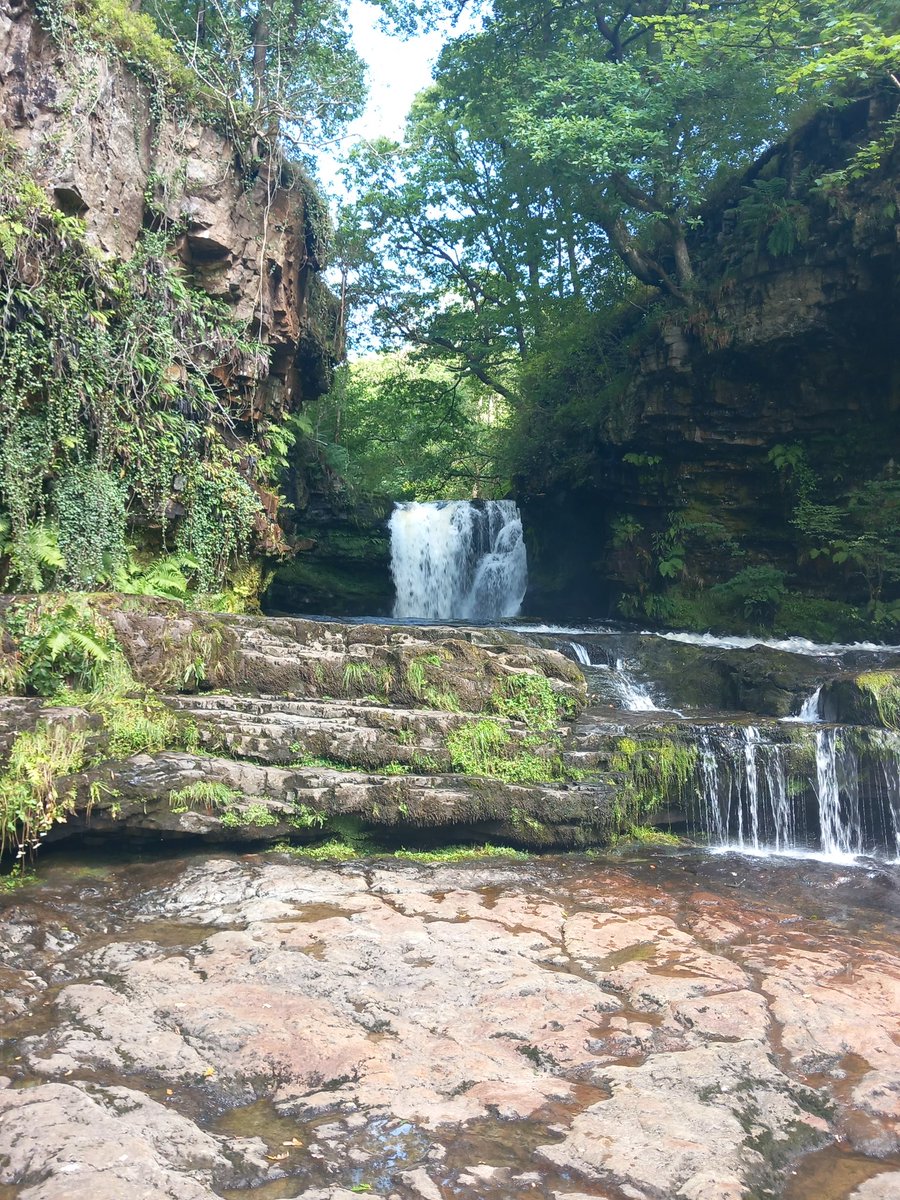 Mark Pedler tweet media