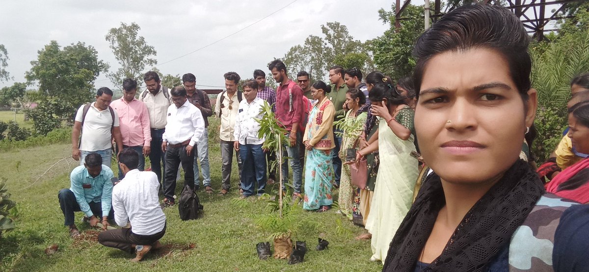 CMcldp msw पौधरोपण करवाया प्रभात पट्टन