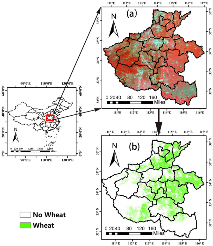 AgricultureMdpi's tweet image. #AgricultureMdpi – Editor&apos;s Choice Article

📜Winter Wheat Yield Prediction Using an LSTM Model from MODIS LAI Products
✍️by Jian Wang et al.

Link: doi.org/10.3390/agricu…
#winterwheat #yieldestimation #LSTM #LAI #deeplearning