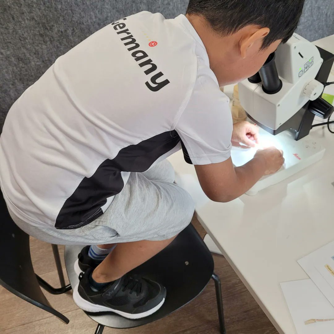 FutureSpace_KS's tweet photo. Wenn das zu beobachtende so spannend ist, dass man auf den Stuhl steigt um besser durch das Mikroskop schauen zu können, ist man wohl im Future Space

#futurespace #mikroskop #mikroskopie #futurespacekassel #mini #miniforscher #kleinerforscher #lernen #entdecken #kassel #hessen https://t.co/DdfcaKiZ45